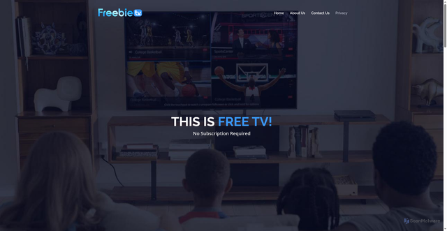 Security scan screenshot of https://freebie.tv/