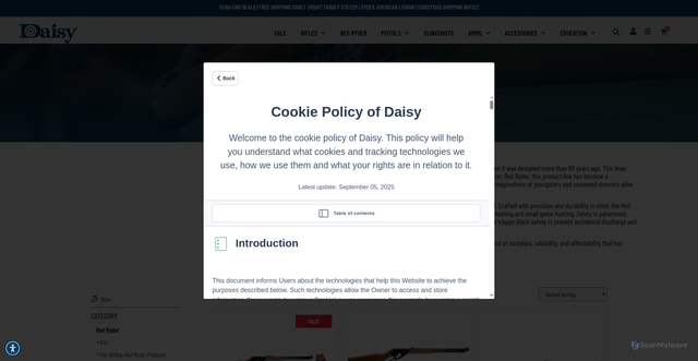 Security scan screenshot of https://daisy.com/product-category/red-ryder/