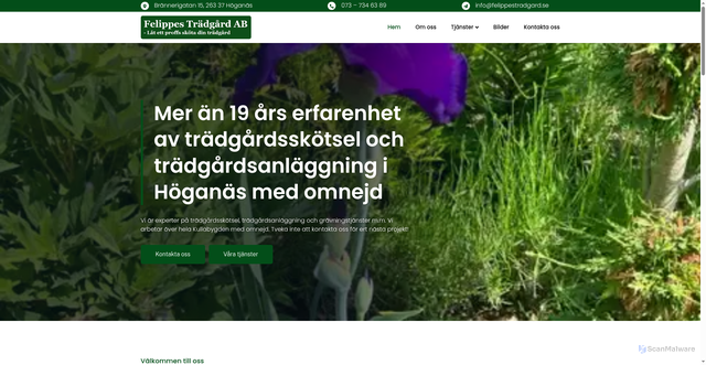 Security scan screenshot of https://felippestradgard.se