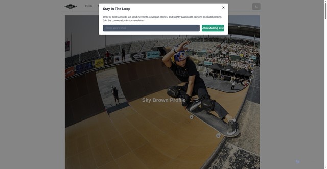 Security scan screenshot of https://theboardr.com/profile/28691/Sky_Brown