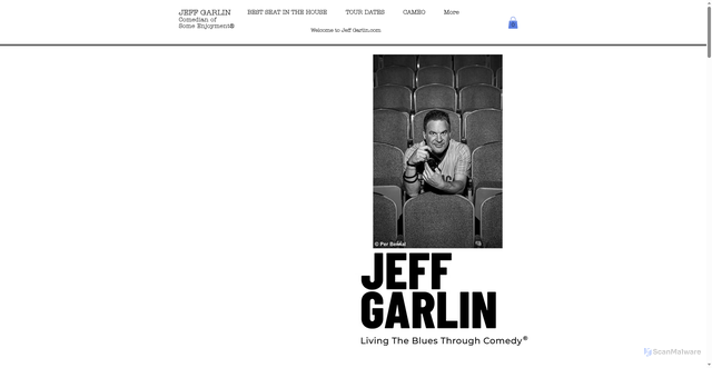 Security scan screenshot of https://www.jeffgarlin.com/