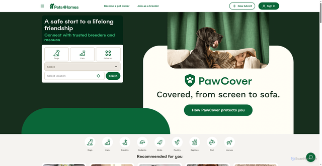 Security scan screenshot of https://pets4homes.co.uk