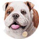 Churchill logo